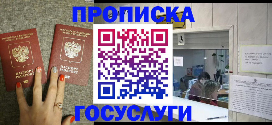 временная прописка в Гатчине